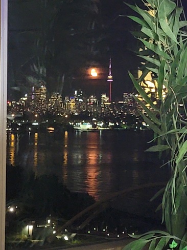 special moon over Toronto Mimico, ON