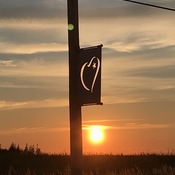 Acadian sunset