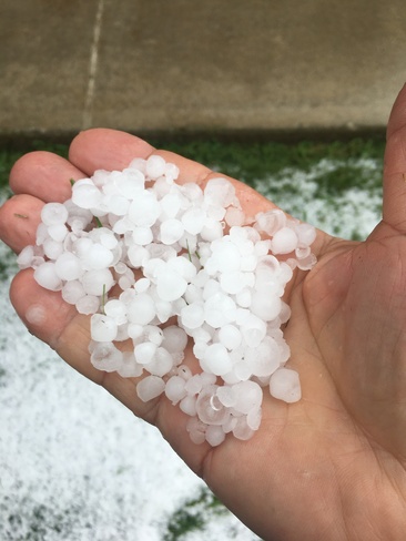Hail in Maple, On Maple, Vaughan, ON