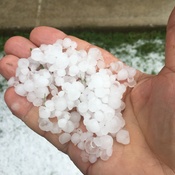 Hail in Maple, On