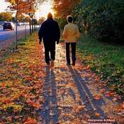 Aug 17 2022 Unforgettable Autumn memories 2021 - Love in Autumn Oct 18 Thornhill