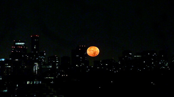 Harvest Moon Descends Toronto, ON