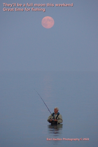 Fishing By The Full Moon Port Ryerse, ON