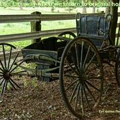 An Old Horse Drawn Carriage