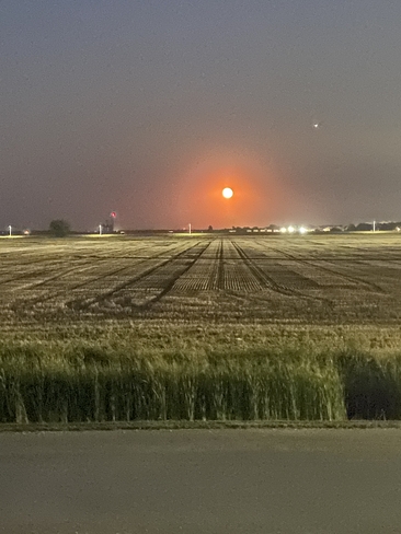 Harvest Moon Niverville, Manitoba, CA