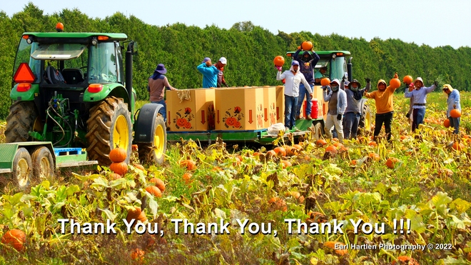 Thank You Migrant Workers Norfolk County, ON