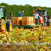 Thank You Migrant Workers