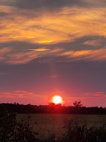 sunset Gallingertown, ON