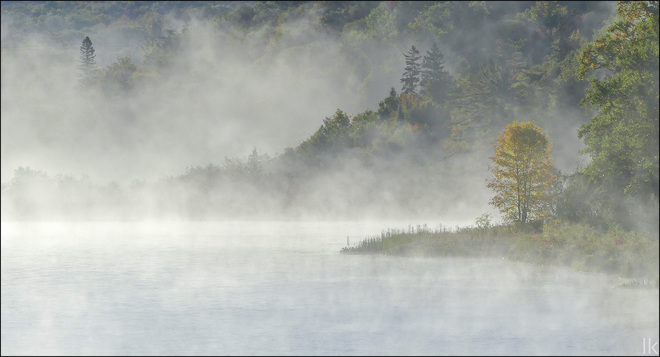Foggy morning, Elliot Lake. Elliot Lake, ON