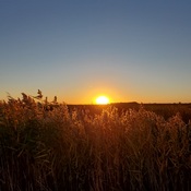 September Evening on the prairies