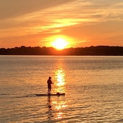 Paddle boarding at sunset!!