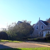 powerline down/uprooted tree