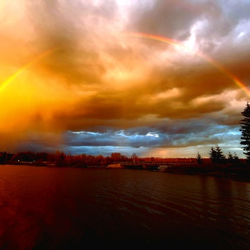 Pawistik Rainbow
