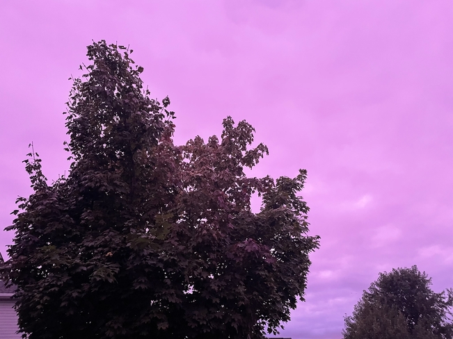 Purple sky Dieppe, New Brunswick, CA