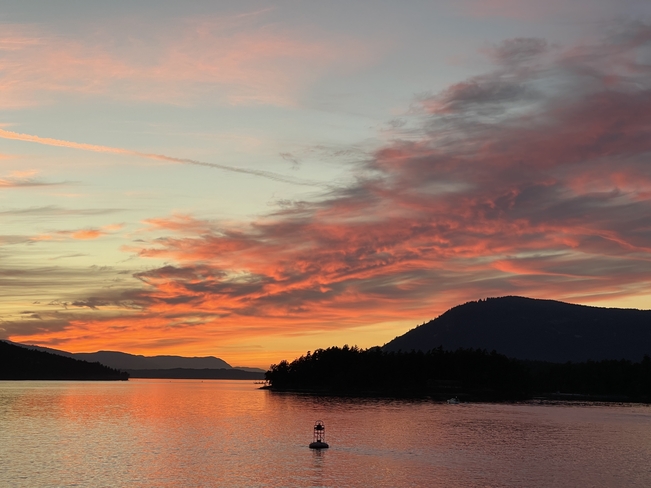 Ferry Sunset Sidney, British Columbia, CA