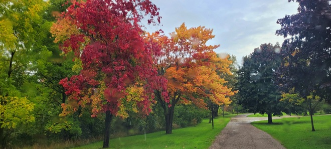 fall colors Listowel, ON