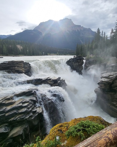 Gorgeous Athabasca Falls Jasper, AB