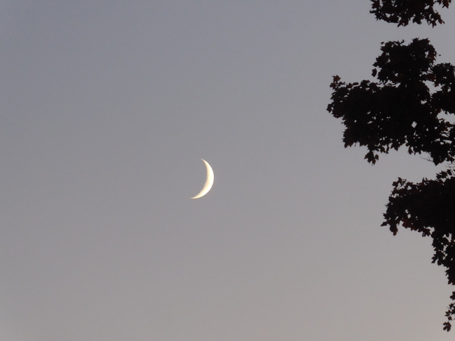 Sliver of a moon Atwood, ON