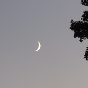 Sliver of a moon