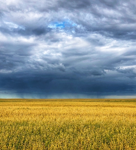 Storm Delmas, Saskatchewan, CA