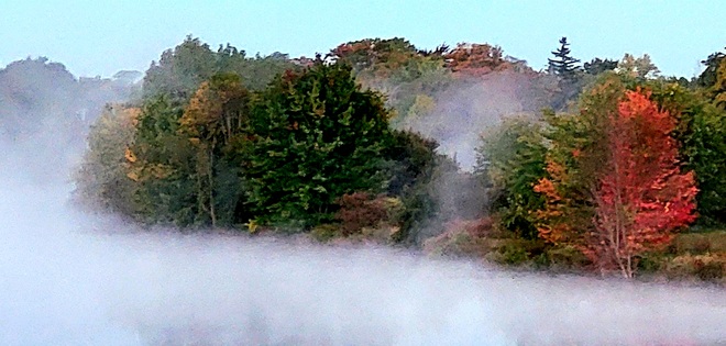 morning fog Welland, ON