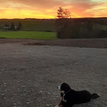 basking in the glow of a beautiful sunset