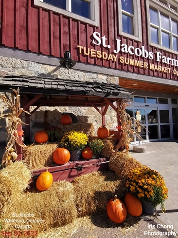 Sept 30 2022 16C St.Jacobs Farmers' Market open Thur and Sat - Waterloo Ontario Waterloo, ON
