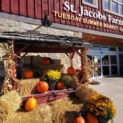 Sept 30 2022 16C St.Jacobs Farmers' Market open Thur and Sat - Waterloo Ontario