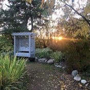 Sunset at Trochu Arboretum