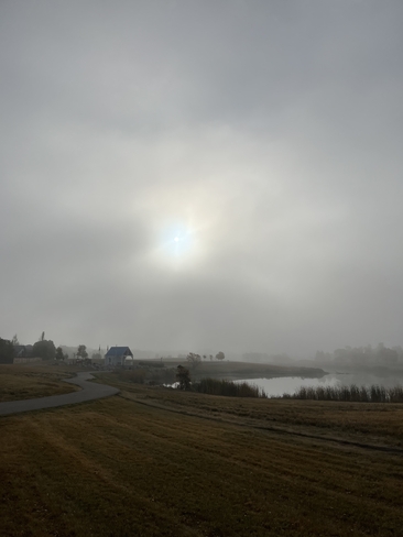 Foggy Morning Regina, Saskatchewan, CA