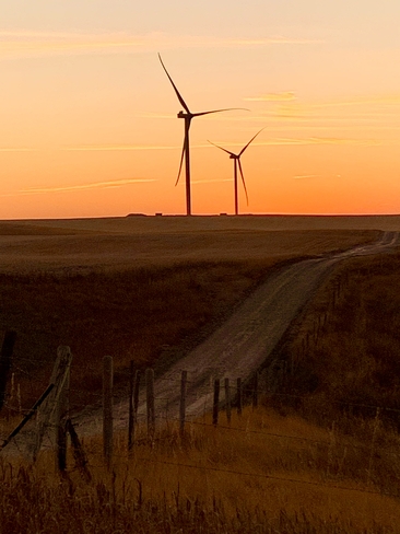 New windmills and sunset Medicine Hat, Alberta, CA