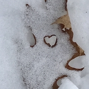 Mini snow heart