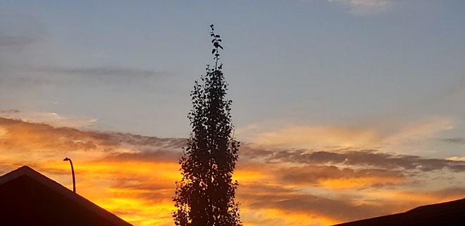 Cedar Sunset Blackfalds, AB