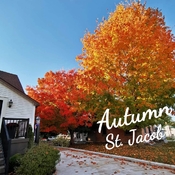 Oct 6 2022 The color of Fall - St.Jacob Waterloo Ontario