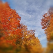 L&#39; automne avec ses belles couleurs.