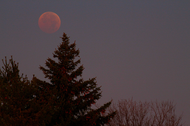 Moon eclipse on Nov. 8, 2022 Whitby, ON