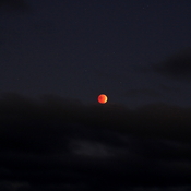 L&#39;éclipse lunaire du 8 novembre