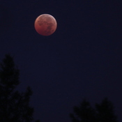 Lunar Eclipse Nov 8, 2022