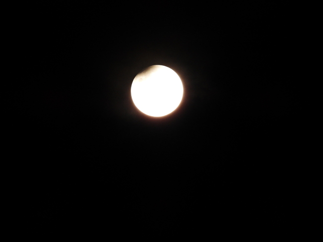 Lunar Eclipse November 8, 2022 Burlington, ON