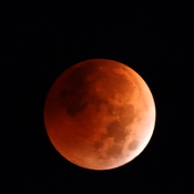Lunar Eclipse November 8, 2022