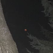 Tuesday morning 6:04 am the blood moon