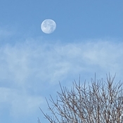 Daytime moon