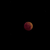 Noverber 8th Lunar Eclipse
