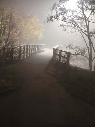 foggy night White Oak, ON