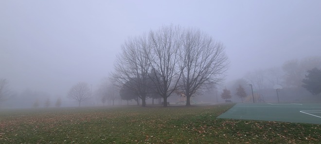 The beauty of fog Thornhill, ON