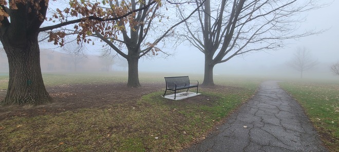 Beautiful fog Thornhill, ON