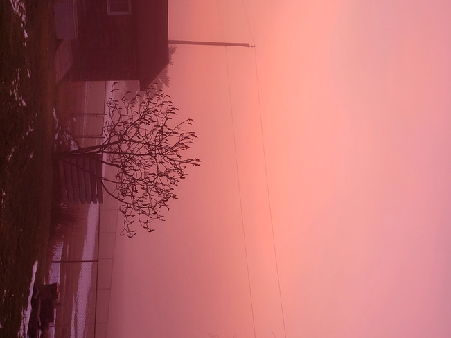 Foggy Sunrise Loretto, ON