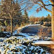 Nov 16 2022 Serenity - First snowfall in late Autumn November - Richmond Hill
