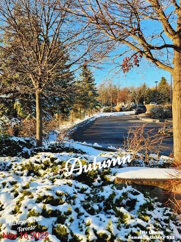 Nov 16 2022 Serenity - First snowfall in late Autumn November - Richmond Hill Richmond Hill, ON