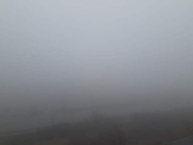 Foggy Morning Oakville, ON